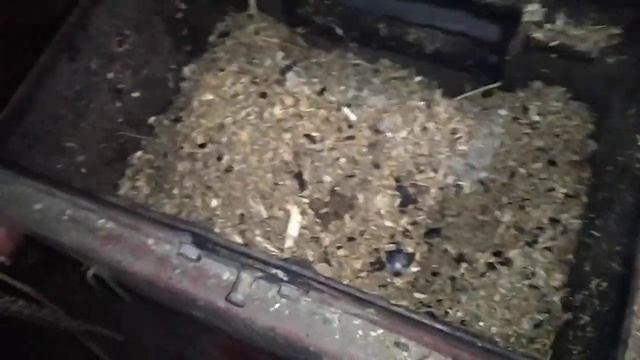 Котёл Холмова на УГЛЕ курном Козак-12 расход и особенности смотреть онлайн