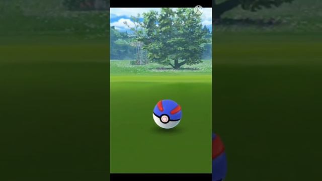 ✨Shiny Spheal✨caught in Pokémon Go | Christmas Event | #shorts смотреть онлайн