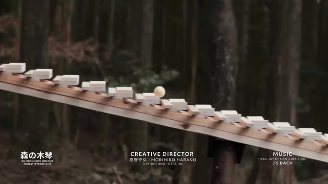 Morihiro Harano Film 🎬 Wood Xylophone | Cantata 147 - Jesu, Joy of Man’s Desiring - J.S.Bach смотреть онлайн