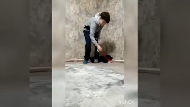 Щенок среднеазиатской овчарки из питомника Таёжный Талисман ❤️ среднеазиатские овчарки и дети 👍 смотреть онлайн