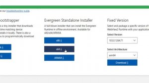 How to install Microsoft edge webview2 runtime