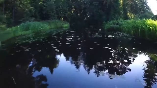 Клип Иринджан мантра Тенгриянская Белого Старца смотреть онлайн