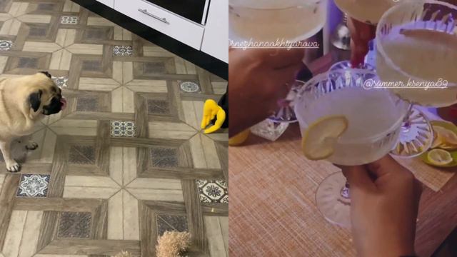 На вечеринке с мопсиками🍸/Кекс в кружке 🍫/ Крашусь на камеру ❤️ смотреть онлайн