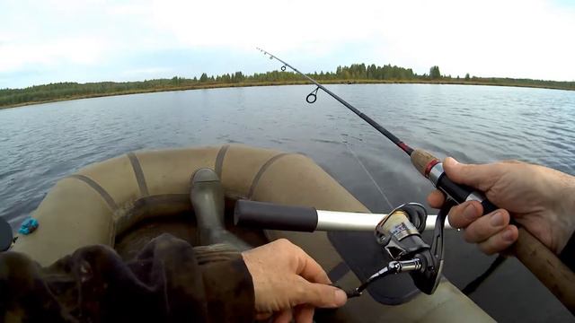 В ГОРОДСКОМ ПРУДУ СНОВА ЕСТЬ РЫБА! смотреть онлайн