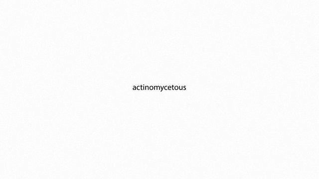 actinomycetous PRONUNCIATION смотреть онлайн