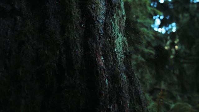 Легкие планеты смотреть онлайн