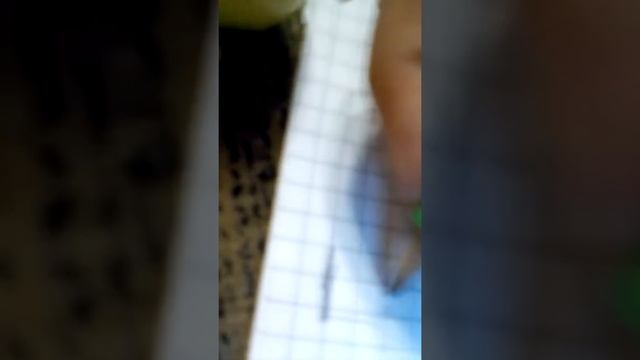 2л. 1шп. 1см. смотреть онлайн