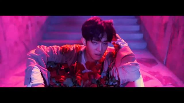 The Rose - Sorry ringtone смотреть онлайн