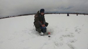 Кубок Москвы соревнования по ловле на спортивную мормышку зимняя рыбалка ловля плотвы и окуня