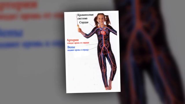 Луч Рибо-4 Учение "Древо Жизни" Аркадия Петрова, визуализацию сделала Любовь Ткаченко смотреть онлайн