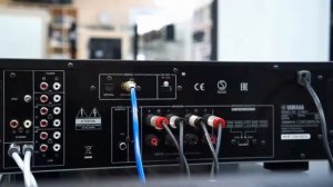 Обзор интегрального усилителя Yamaha A-S501
