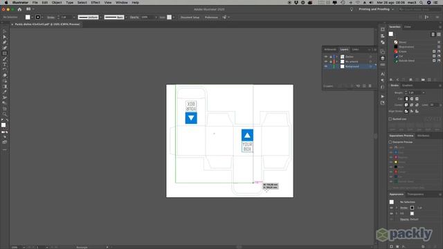 Packly Come Fare: Applica un Logo e un Colore di Sfondo alla Tua Scatola con Adobe Illustrator смотреть онлайн