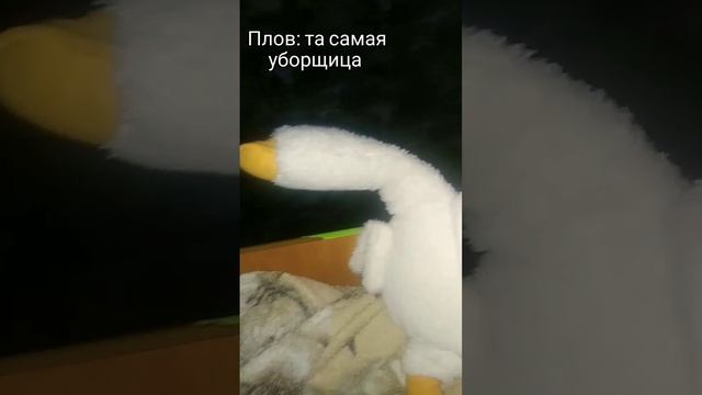 (извините что так долго не было видео☁️) #рек #рекомендаций #реки2024 #sorts #уборщица #шарики смотреть онлайн