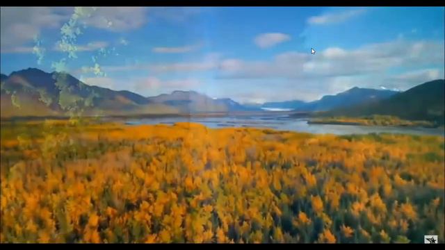 3. Автономия . Вопросы и дополнением знания.Дезинфекция. смотреть онлайн