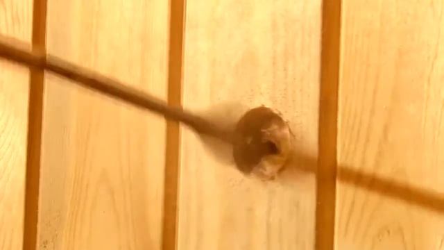 Установка теплообменника в банную печь. Монтаж выносного бака смотреть онлайн