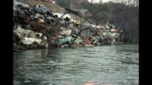 5 июня -  Всемирный день окружающей среды