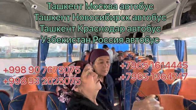 Ташкент Новосибир автобус Новосибирск Ташкент автобус Ташкент Челябинск Ташкент Екатеринбург автобу смотреть онлайн