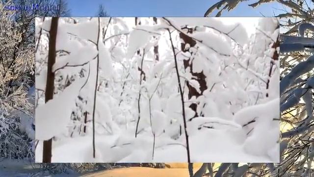 Зимний лес и лучшая музыка для настроения смотреть онлайн