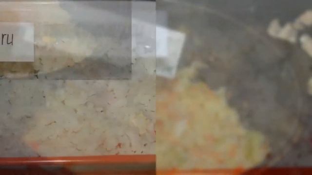 Рецепты сезона