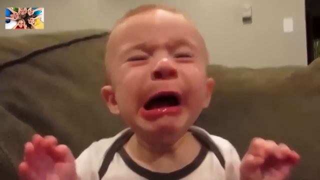 Маленькие дети пробуют лимон. Часть 4 смотреть онлайн
