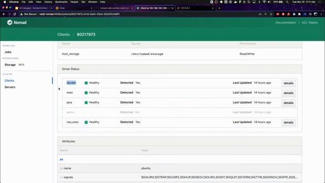 Mixing Containerized and Non containerized Workloads with Services and Batch Jobs in Nomad смотреть онлайн
