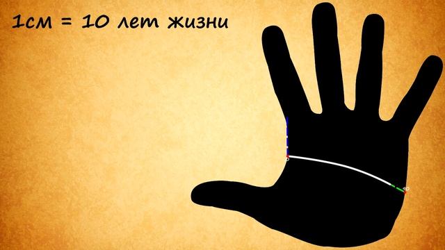 ДАТИРОВКА по ЛИНИИ ГОЛОВЫ (время на линии ума) / хиромантия / Кладезь Хиромантии смотреть онлайн