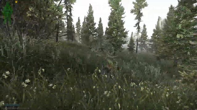 Escape from Tarkov || скоро вайп - значит слив 2 смотреть онлайн