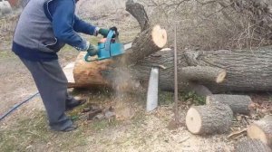 Влог: "Пилим дерево бензопилой 14.05.2020/Клещи? /должны голубя