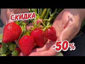 Рекламный блок ОТВ ЧЕЛЯБИНСК 14.06.2024