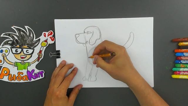 Как нарисовать СОБАКУ рисуем БИГЛЯ - урок рисования смотреть онлайн