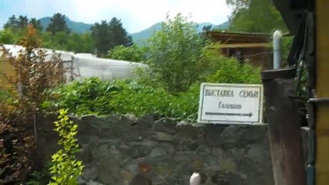 Поездка на Алтай 2016 смотреть онлайн
