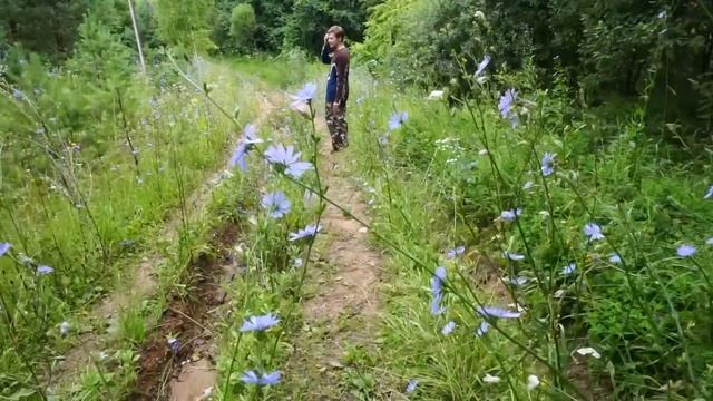 Vlog #17 Поход, Подмосковье и Мишина деревня детства смотреть онлайн