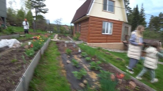 Влог: Снова буду худеть / Отвезли рассаду на дачу родителей смотреть онлайн