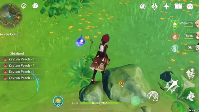 Sumeru Genshin Impact смотреть онлайн