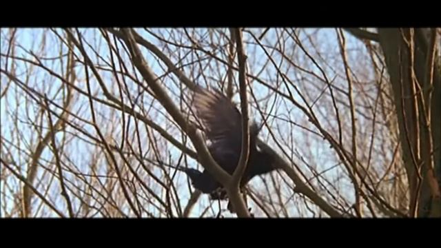 МАЙК SLON- "ЛЕТУЧИЙ ГОЛЛАНДЕЦ" смотреть онлайн