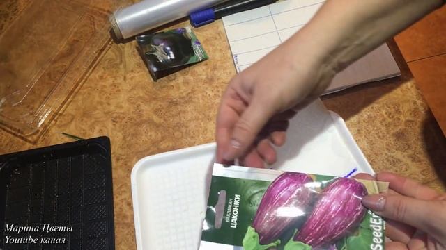 Баклажаны. Стерильный посев семян. смотреть онлайн