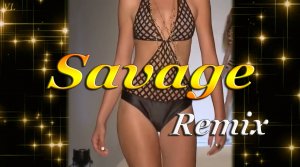 Savage - Dont Cry Tonight(Remix)