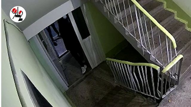 Пацаны скручивают госномера... в трубочку смотреть онлайн