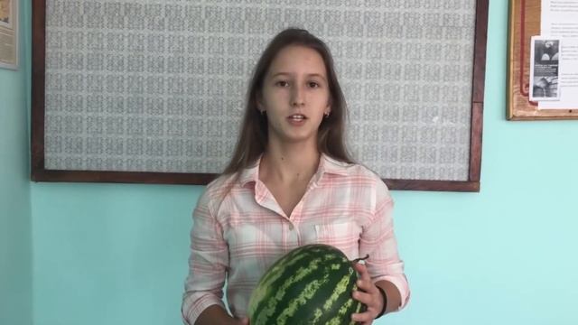 27 Арбузное дерево смотреть онлайн