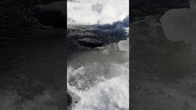 Чебак смотреть онлайн