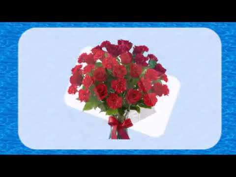 Светлой памяти моей мамы смотреть онлайн