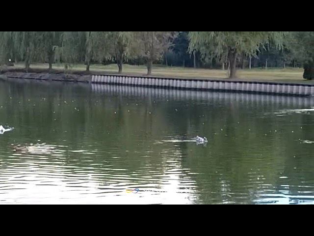 9 сентября 2022 г. смотреть онлайн