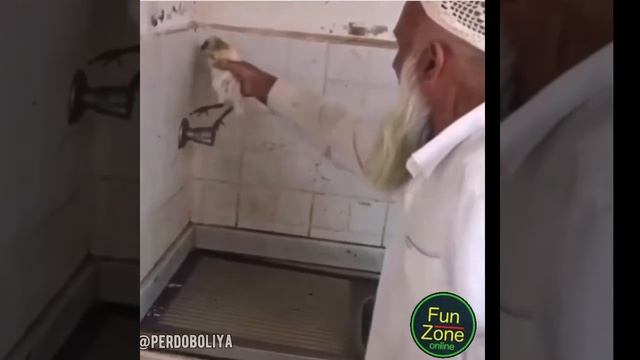 Что делать, когда приехала СЭС! смотреть онлайн