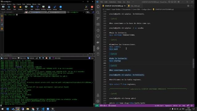 Oracle DBA - Laboratorio STARTUP TRANSACTIONAL - 17-09-2022 смотреть онлайн