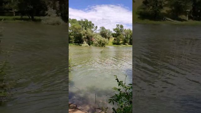 Краснодар, рыбалка, июнь смотреть онлайн