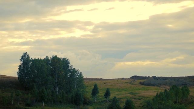 Детский псалом "Я маленькая овечка" смотреть онлайн