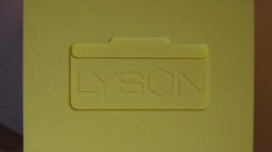 1 Введение. Умный Улей. LYSON. Лысонь.