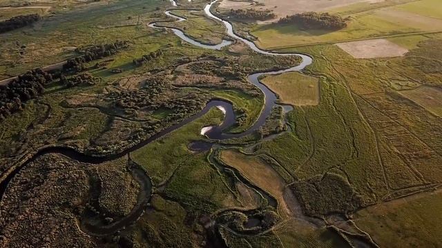 Мать рыдала, когда увидела как волк вылизывает посиневшее лицо её дочки смотреть онлайн