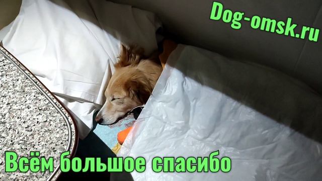 ТРУДИ вернулась домой смотреть онлайн