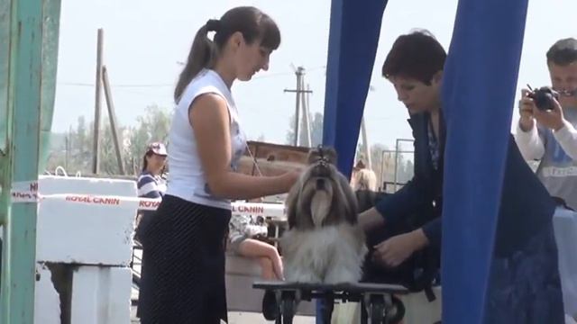 20120506094014.mpg смотреть онлайн